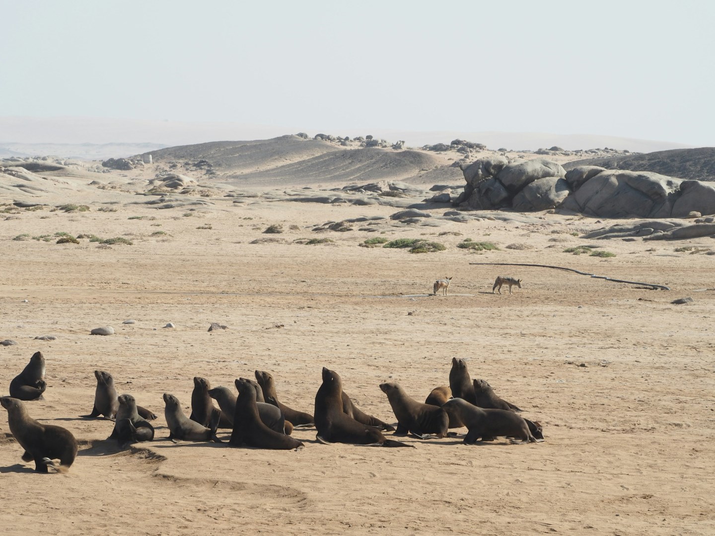 Skeleton Coast National Park