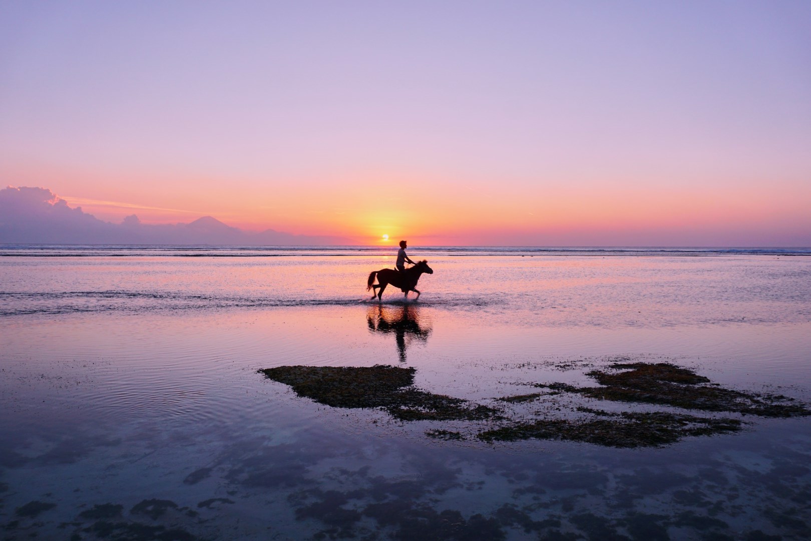  Photo Credit: Photo by Federico Enni on Unsplash
