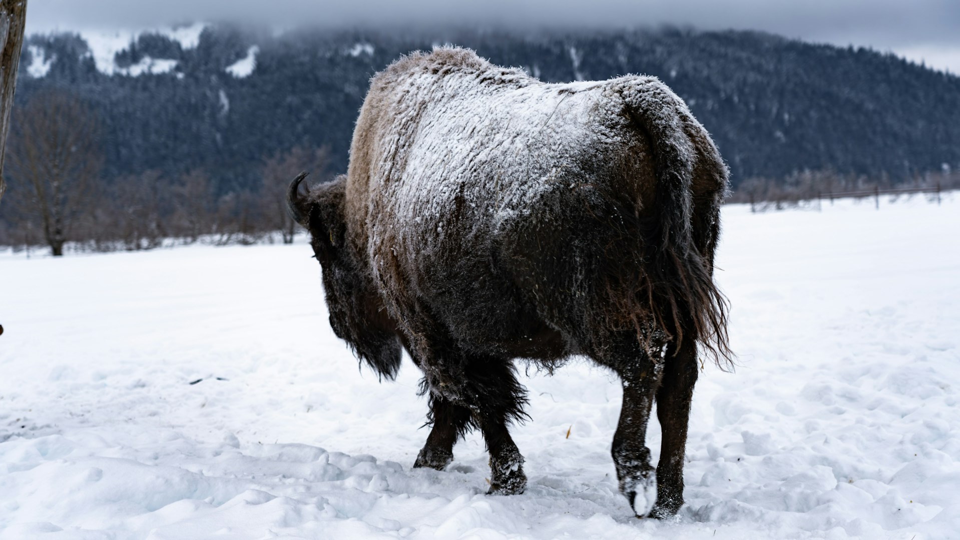  Photo Credit: Photo by Yuhan Du on Unsplash