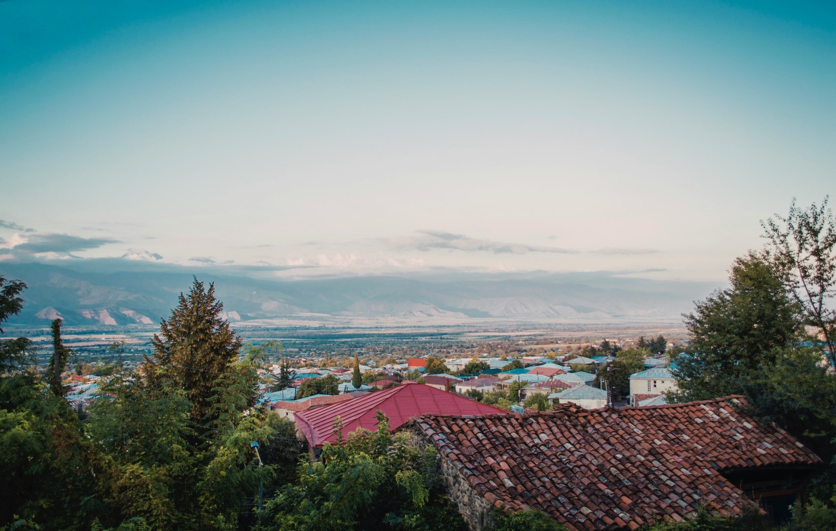 Telavi