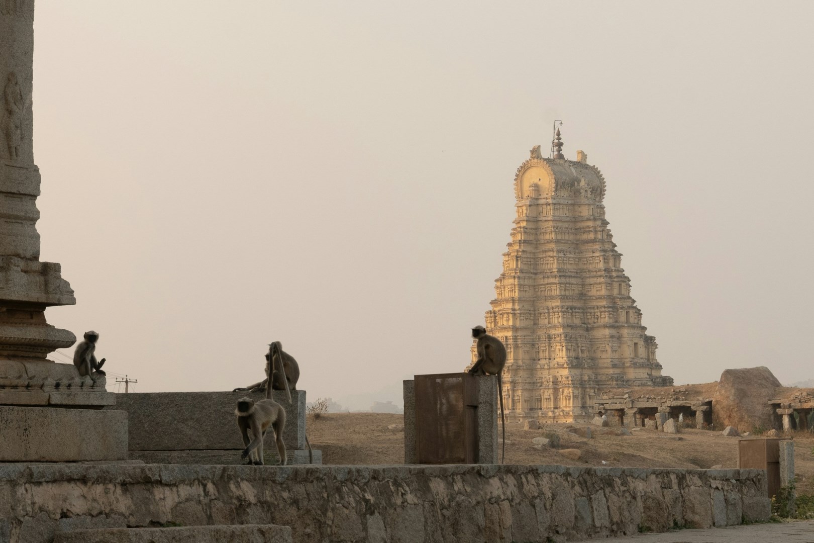  Photo Credit: Photo by Noor Sharma on Unsplash