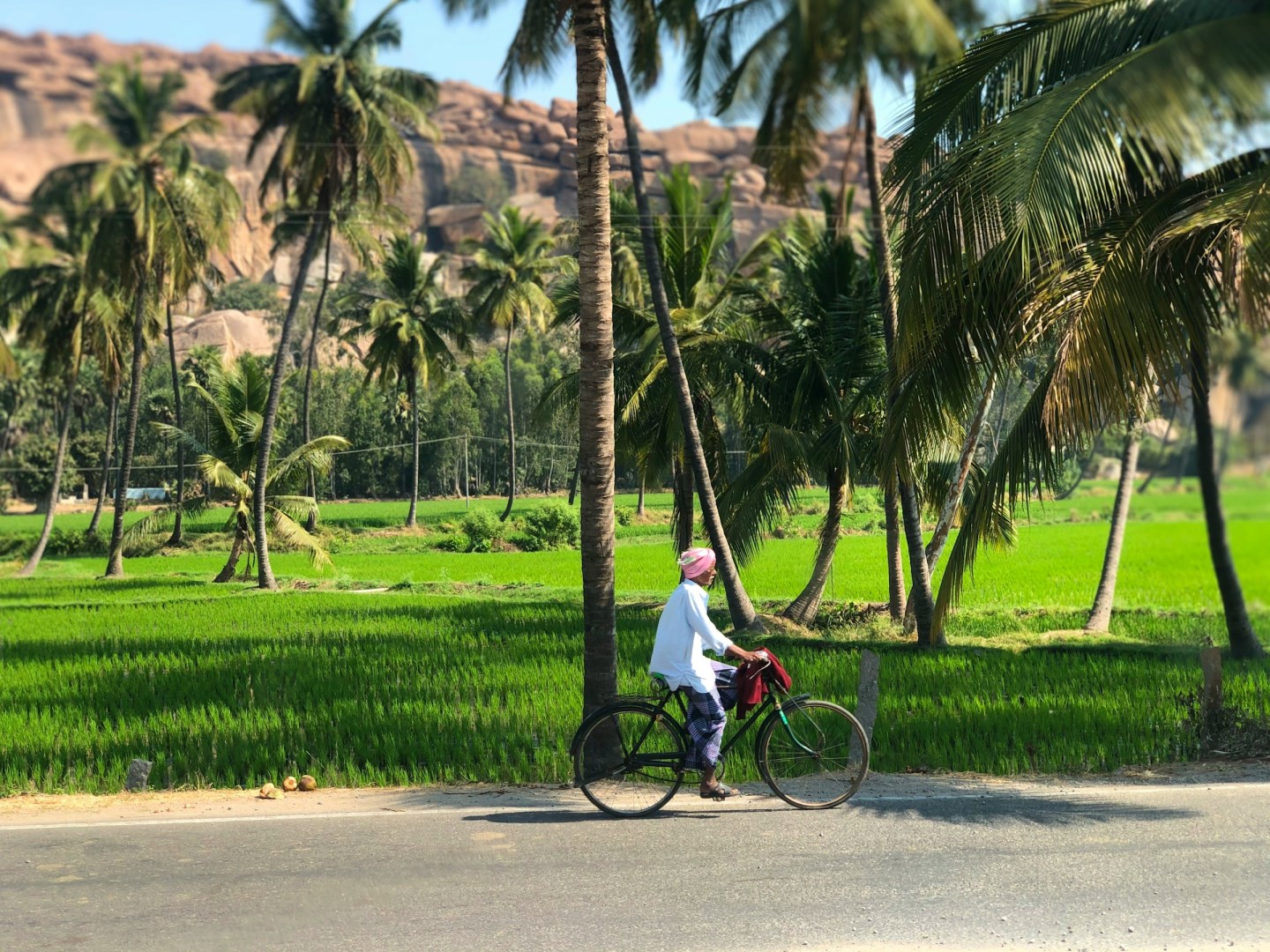  Photo Credit: Photo by Alka Jha on Unsplash