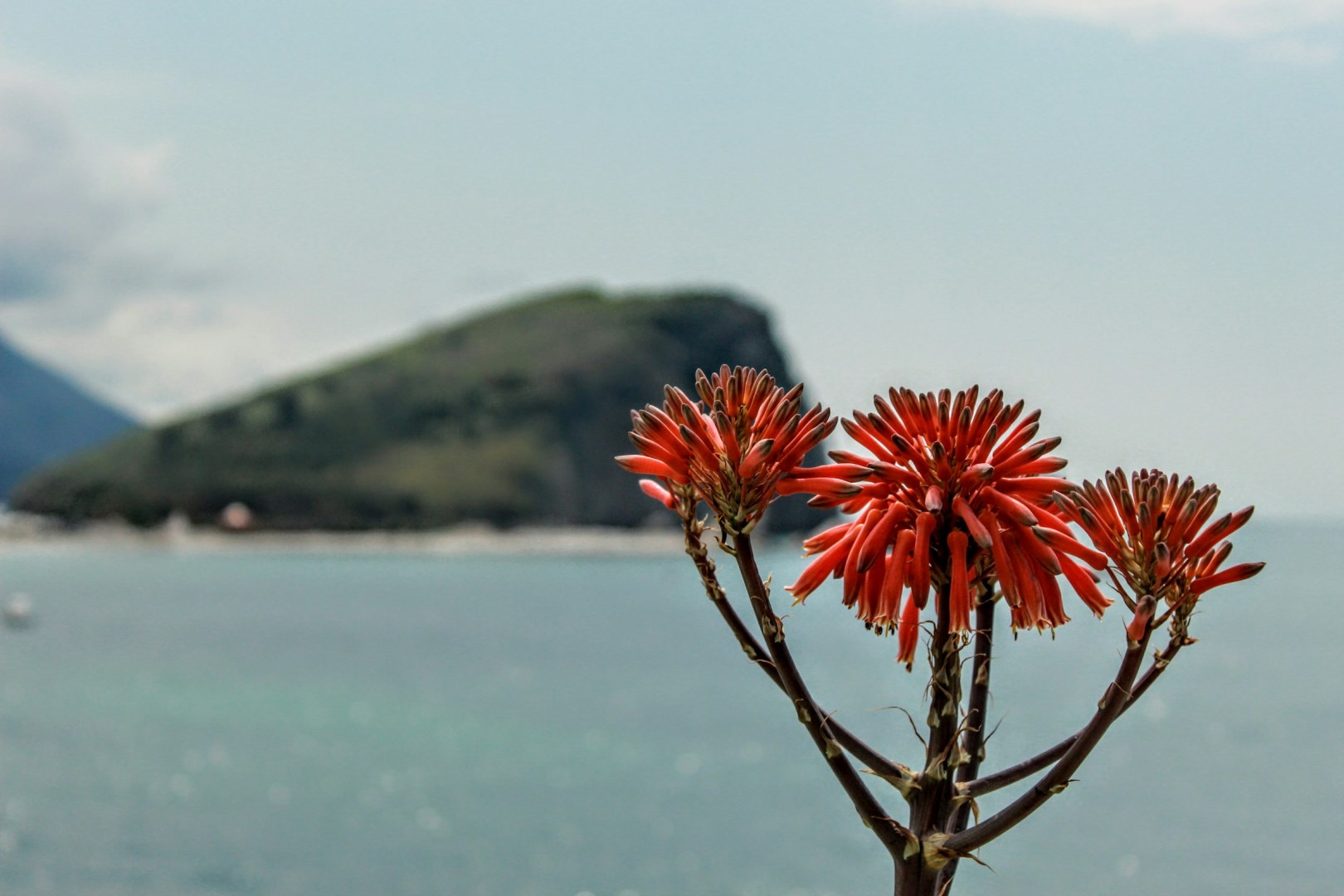  Photo Credit: Photo by Stanislav Filipov on Unsplash