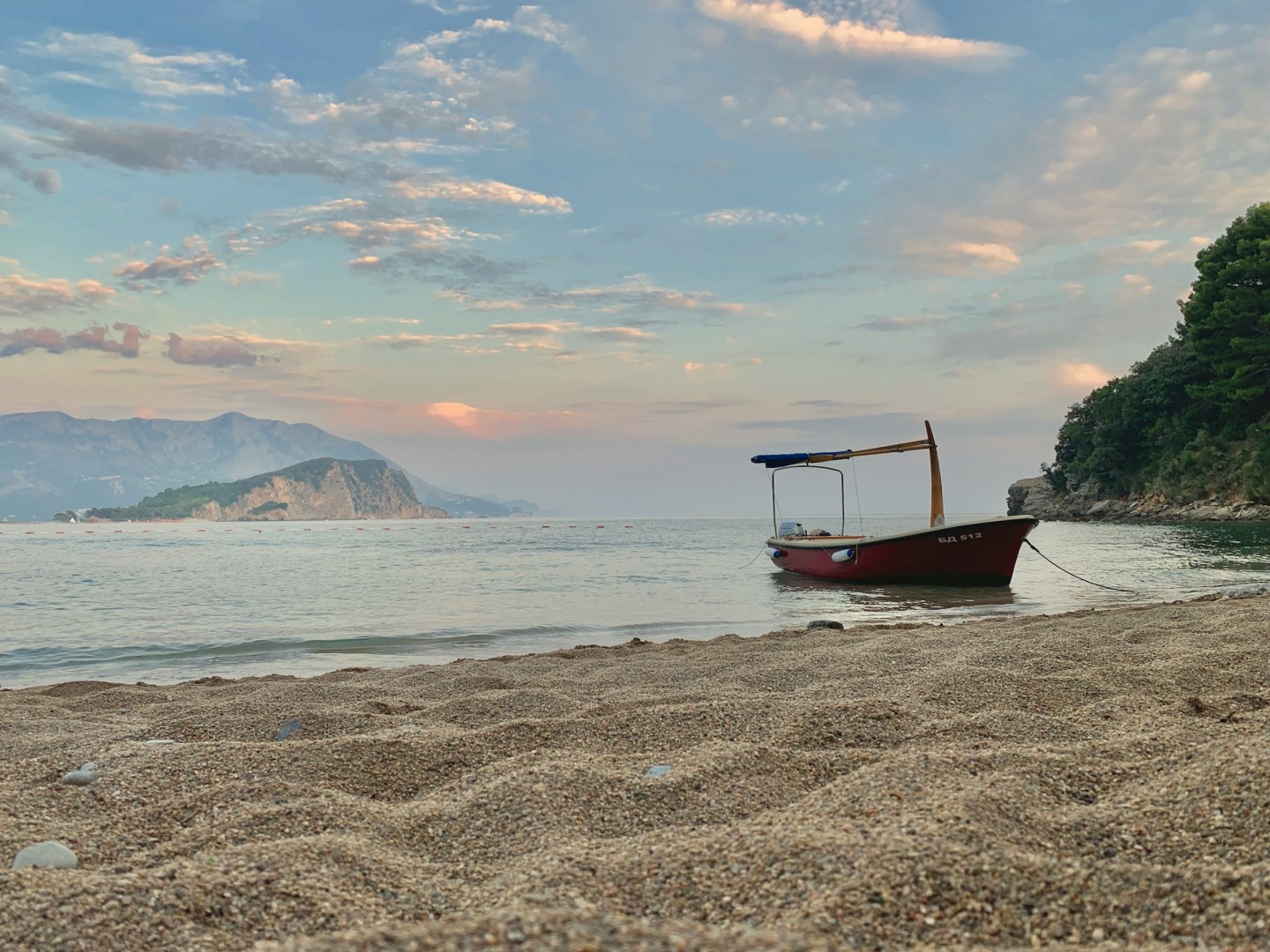  Photo Credit: Photo by Nemanja Vlaovic on Unsplash