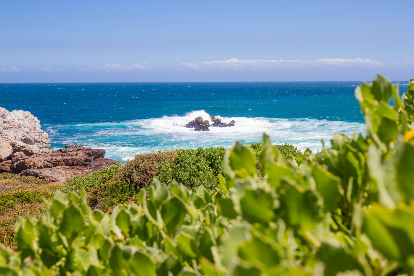 Hermanus