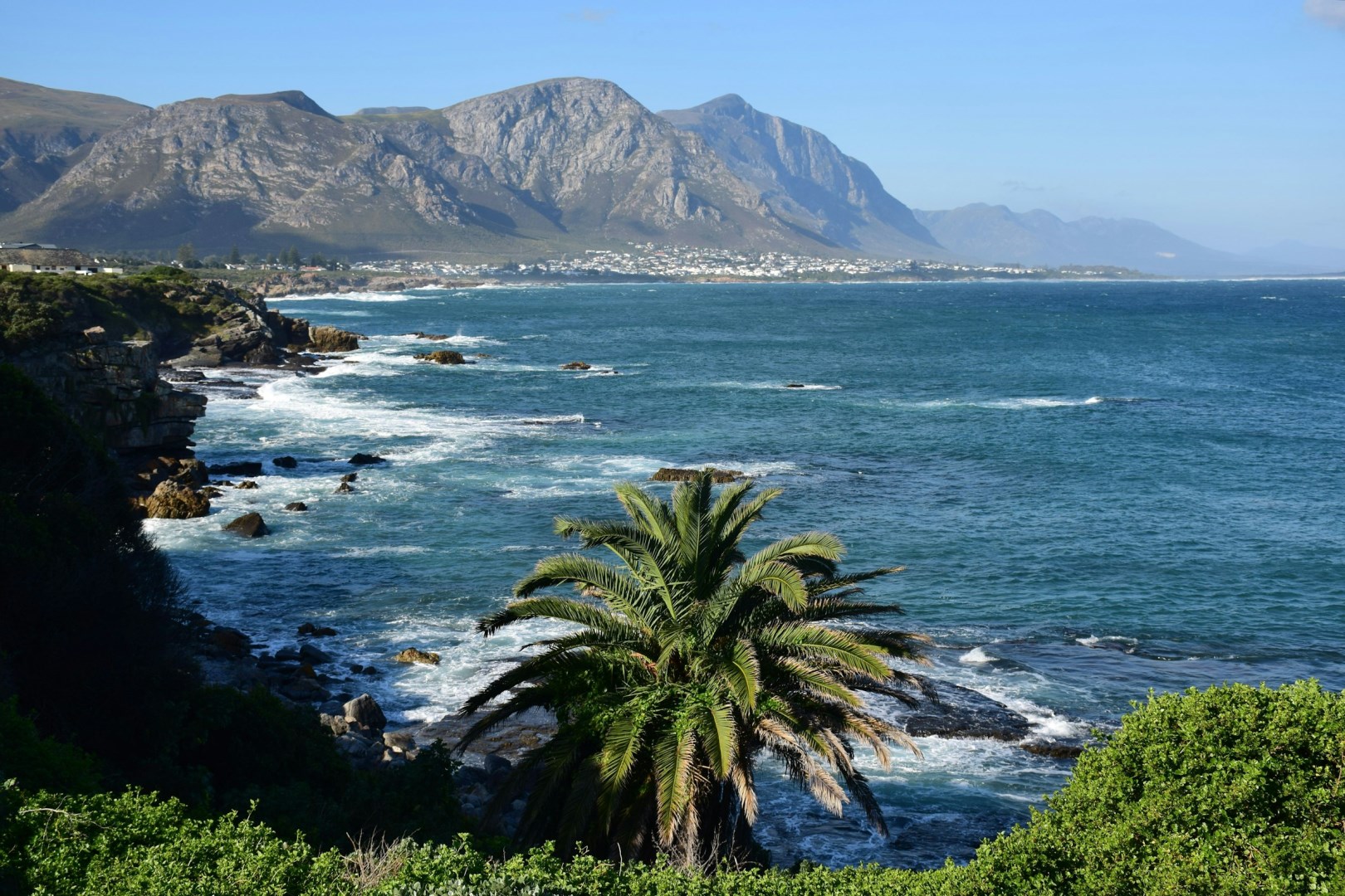 Photo Credit: Photo by Rudi De Meyer on Unsplash