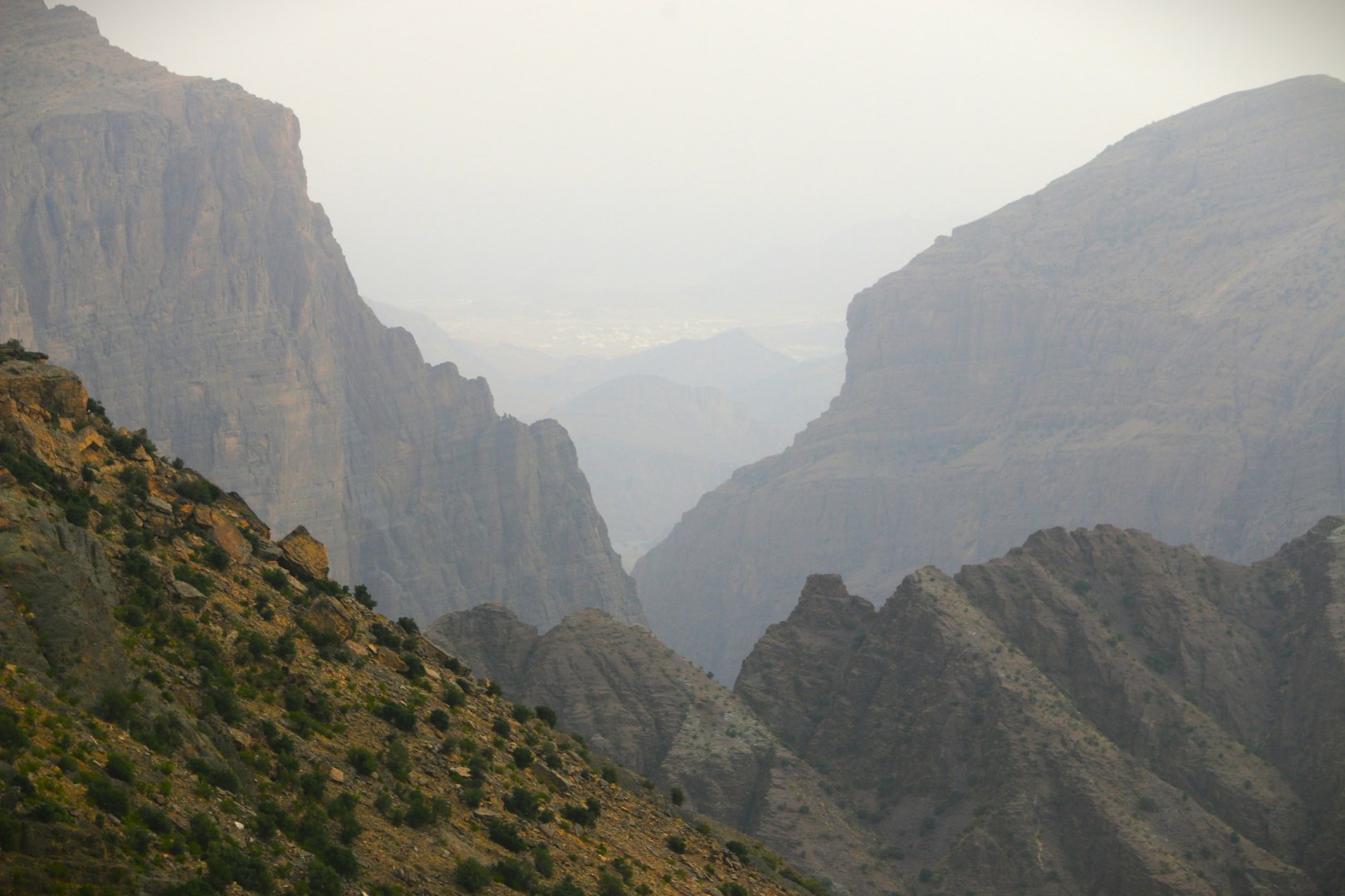  Photo Credit: Photo by thomas on Unsplash
