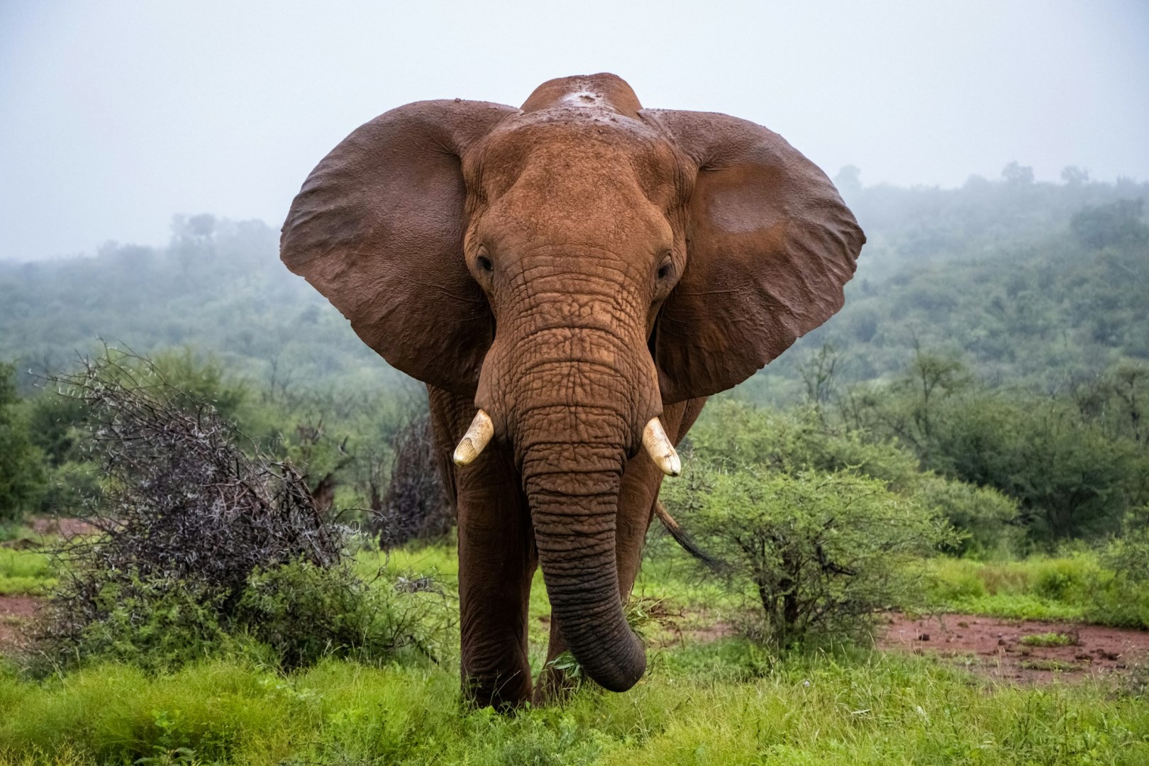  Photo Credit: Photo by Marlin Clark on Unsplash