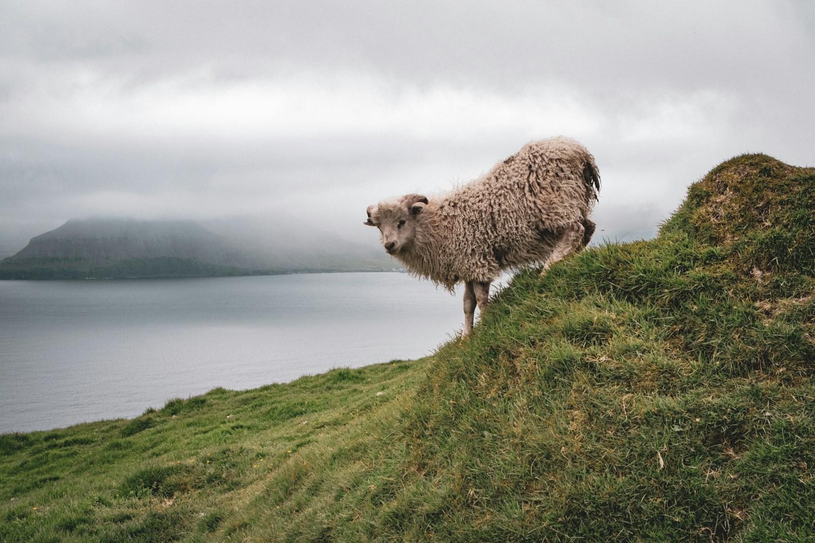  Photo Credit: Photo by Isak Sandin on Unsplash