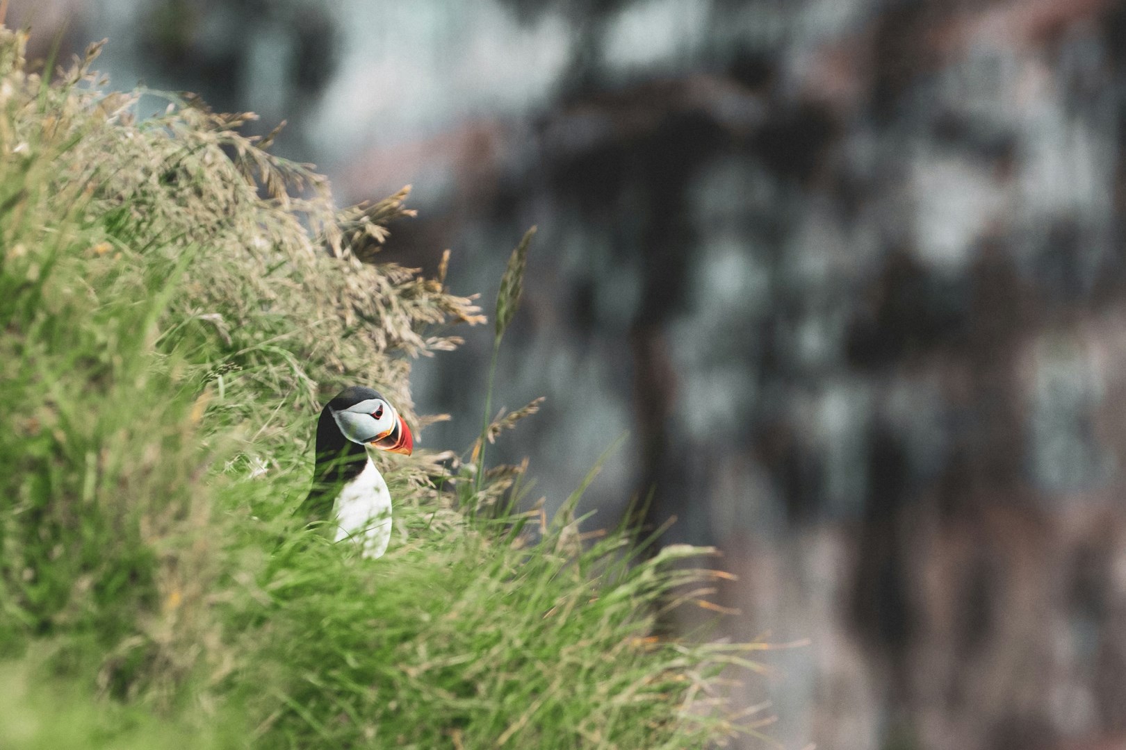  Photo Credit: Photo by Isak Sandin on Unsplash