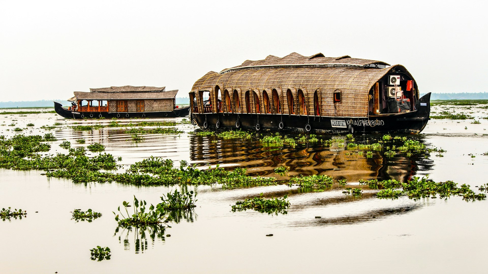 Alleppey