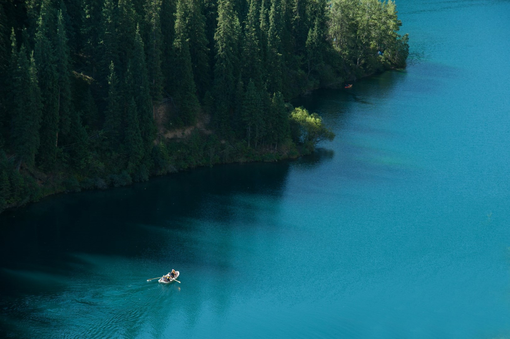  Photo Credit: Photo by Evgeny Matveev on Unsplash