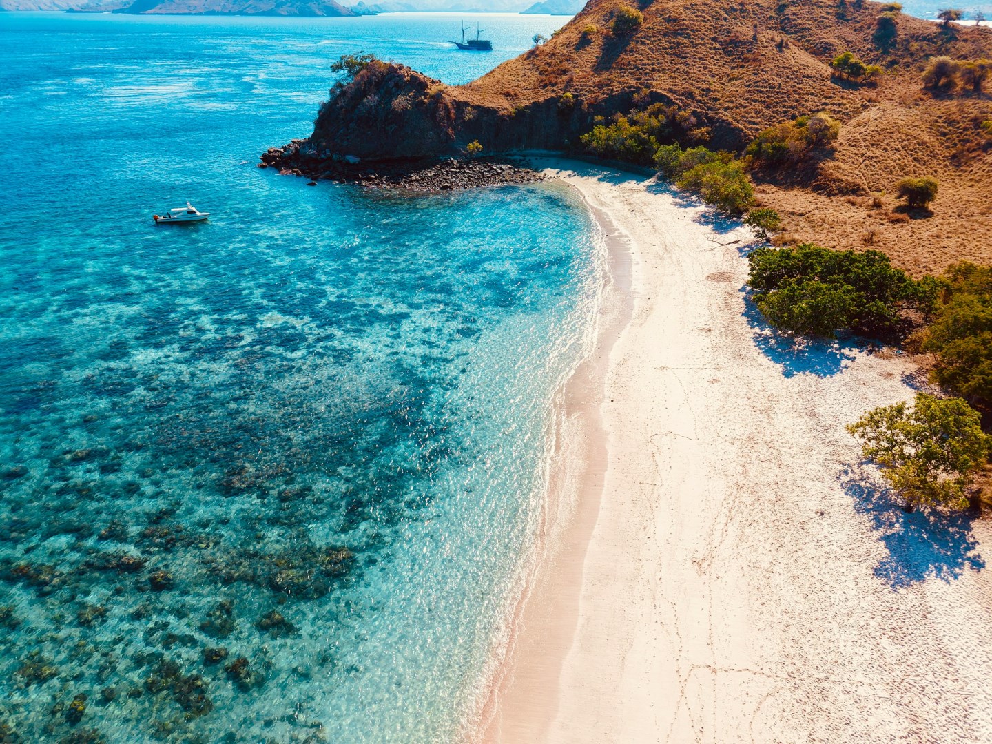 Pink Beach - Photo Credit: Photo by I CHEN LIN on Unsplash