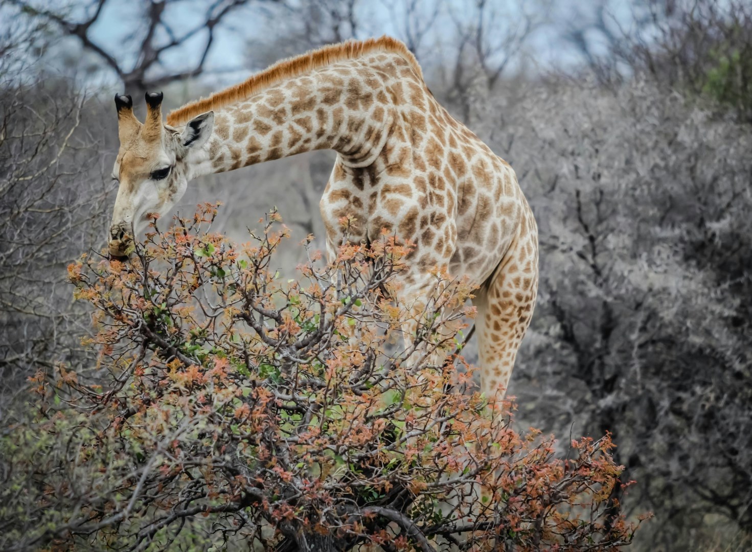 Photo Credit: Photo by Casey Allen on Unsplash