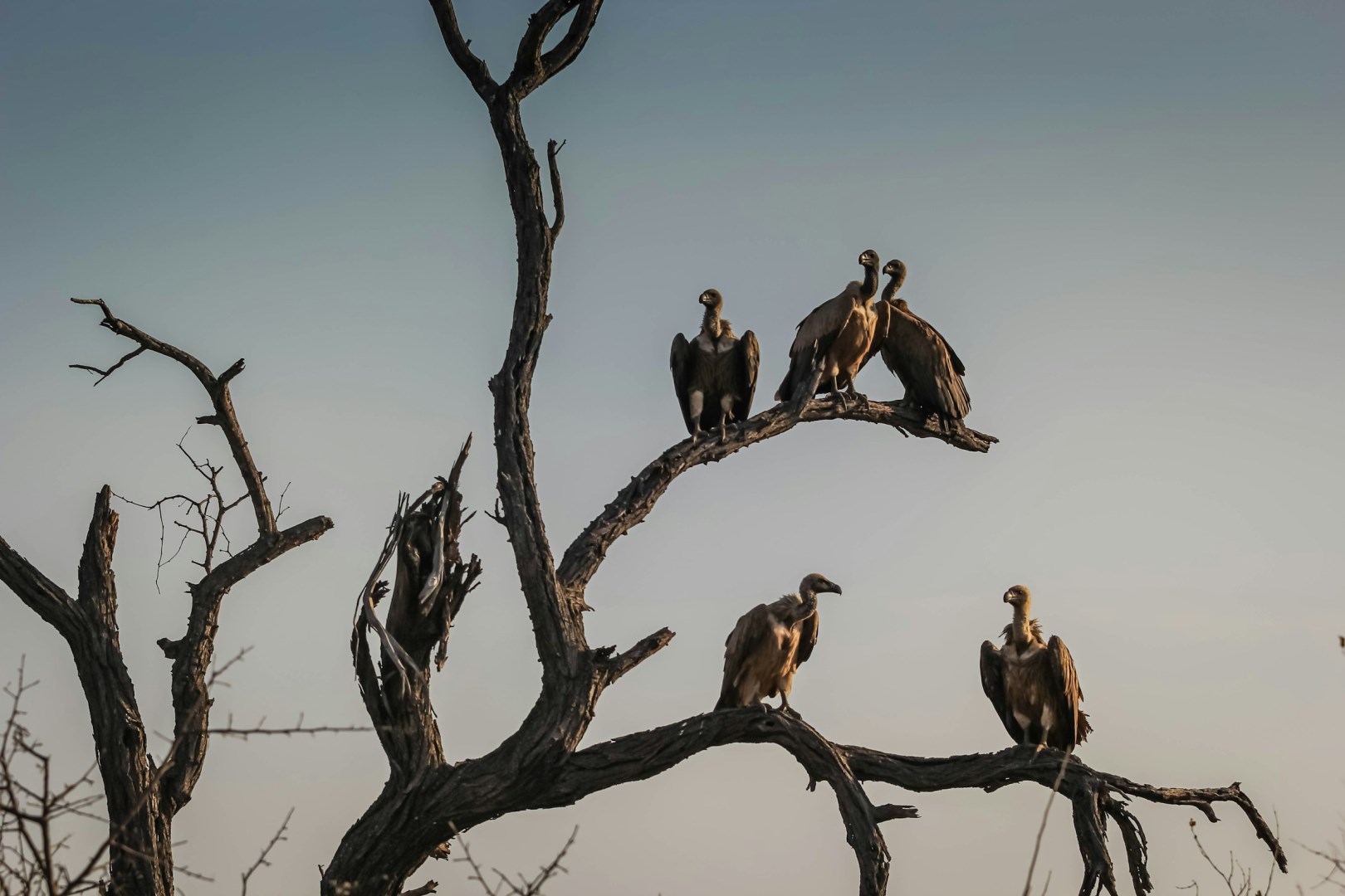  Photo Credit: Photo by Casey Allen on Unsplash