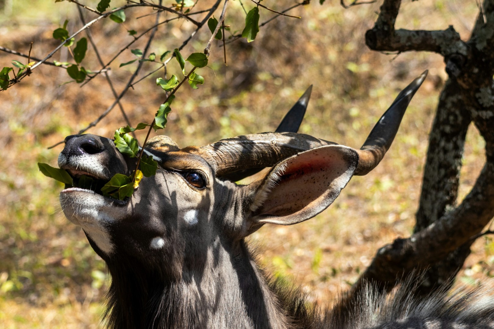  Photo Credit: Photo by Hendrik Prinsloo on Unsplash