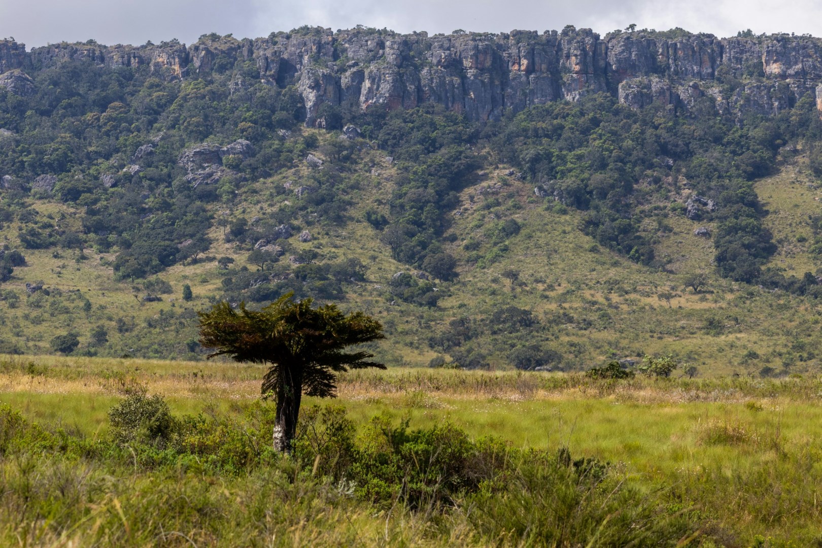 Hoedspruit