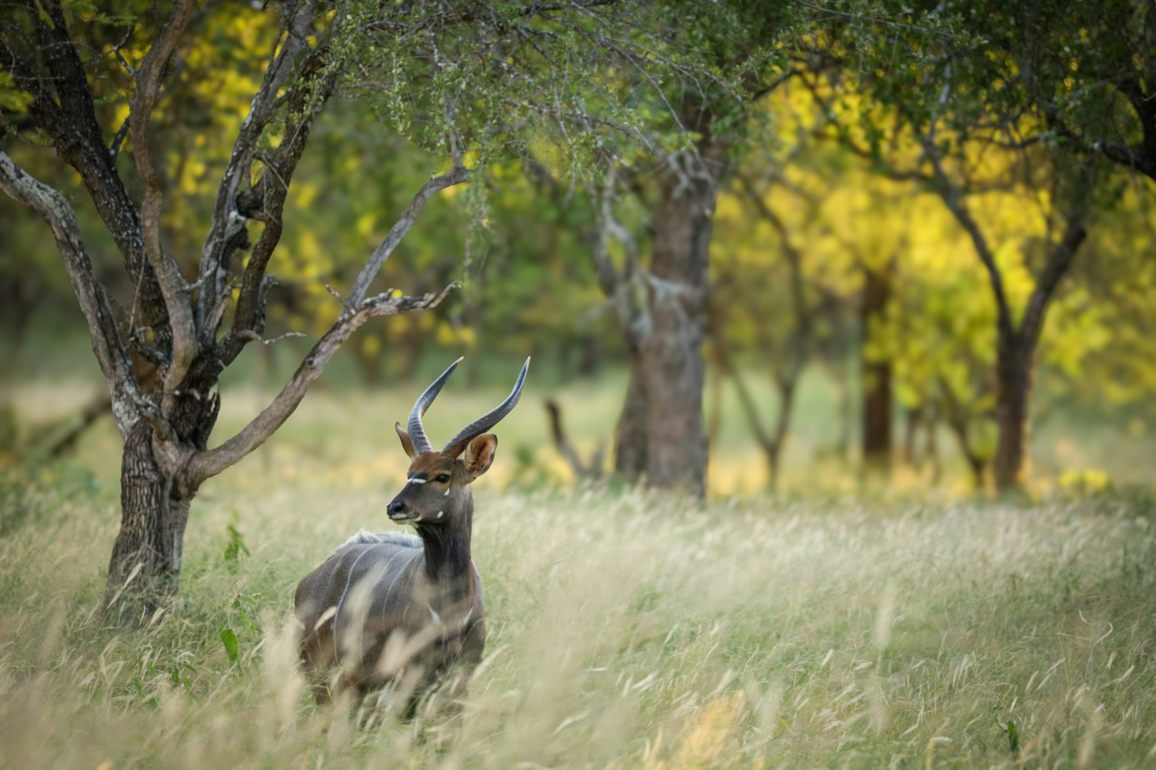  Photo Credit: Photo by Rayne Rabie on Unsplash