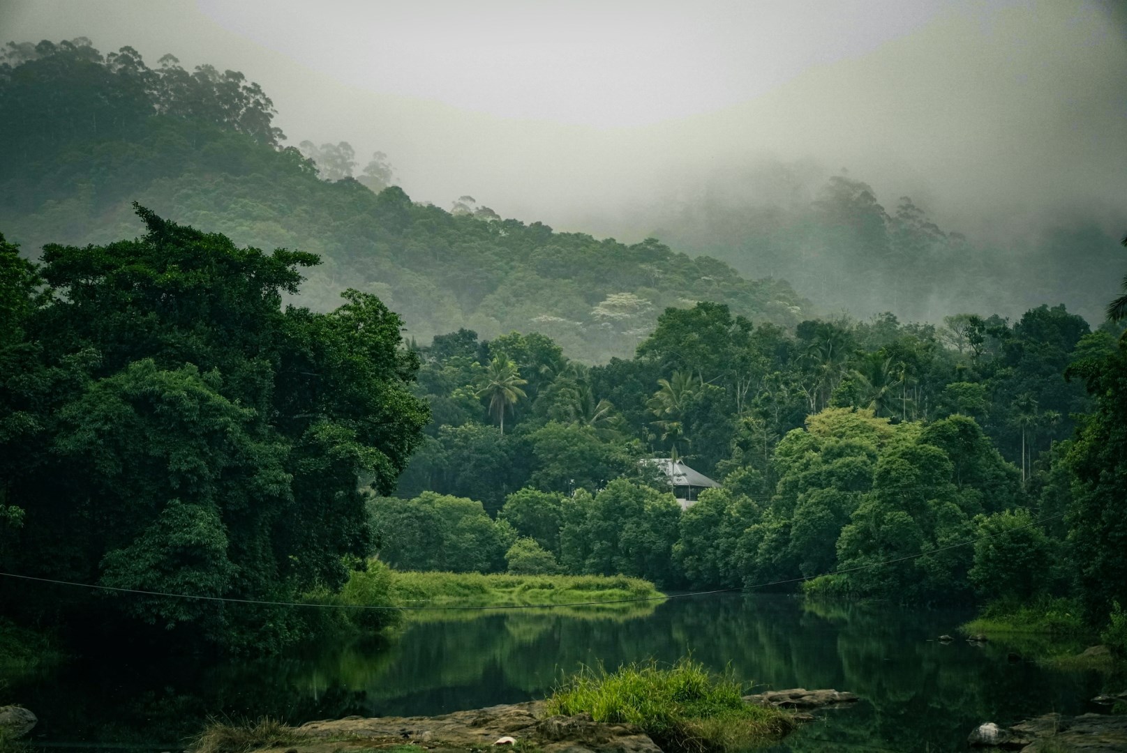  Photo Credit: Photo by Rishi Sreekar on Unsplash