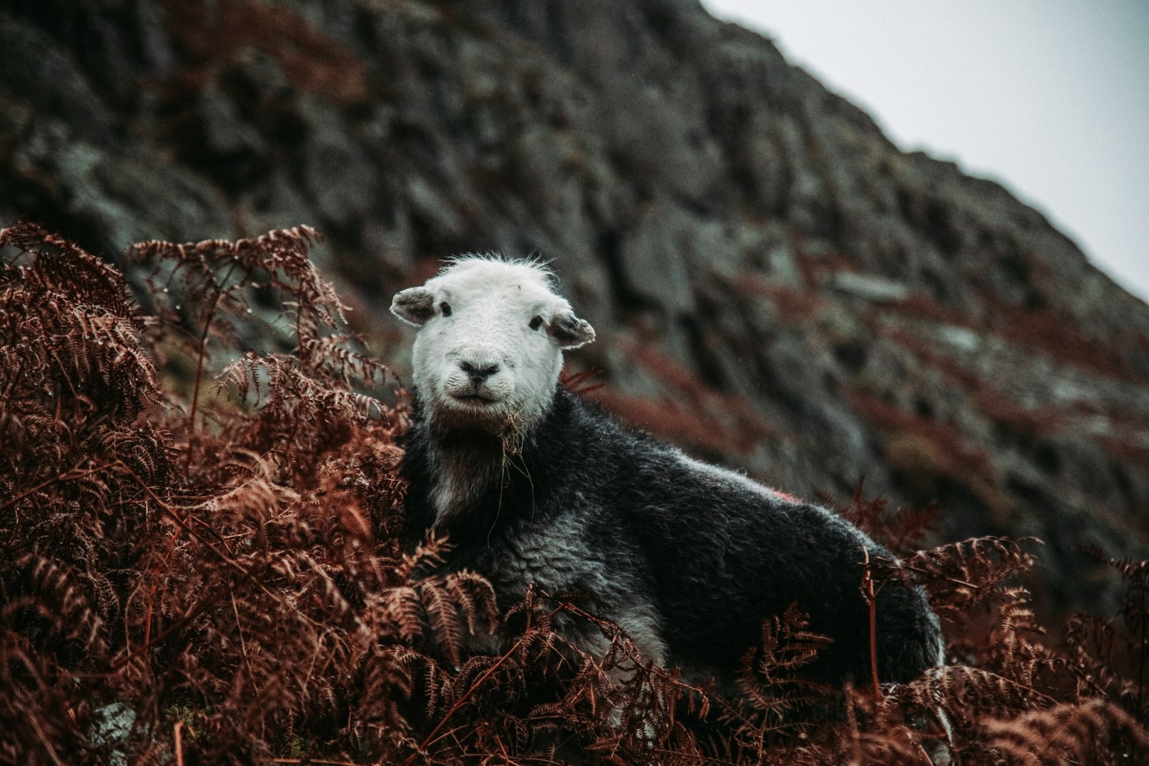  Photo Credit: Photo by Chandler Media on Unsplash