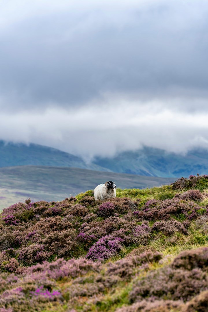  Photo Credit: Photo by Abide Studios on Unsplash