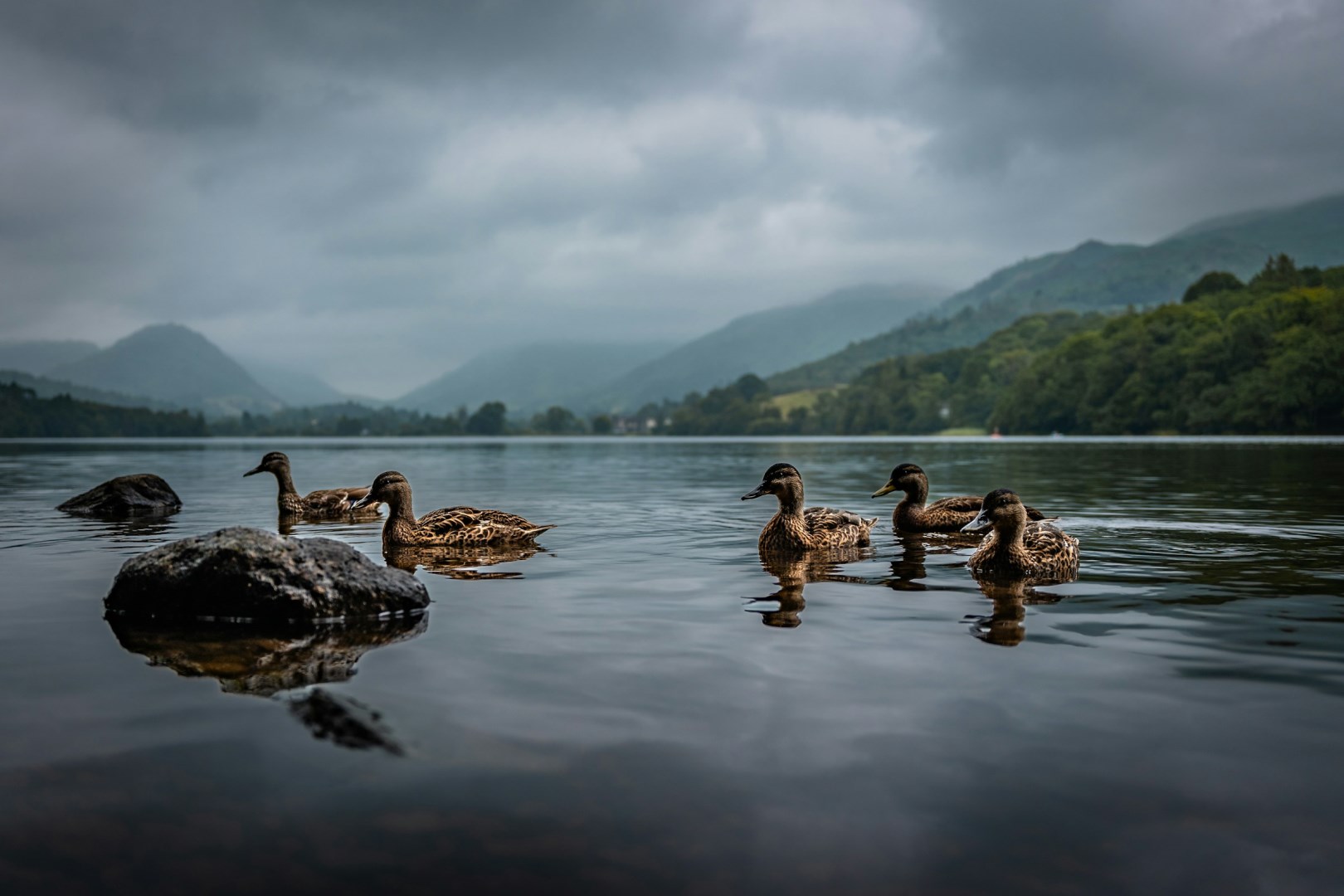  Photo Credit: Photo by Clovis Wood on Unsplash