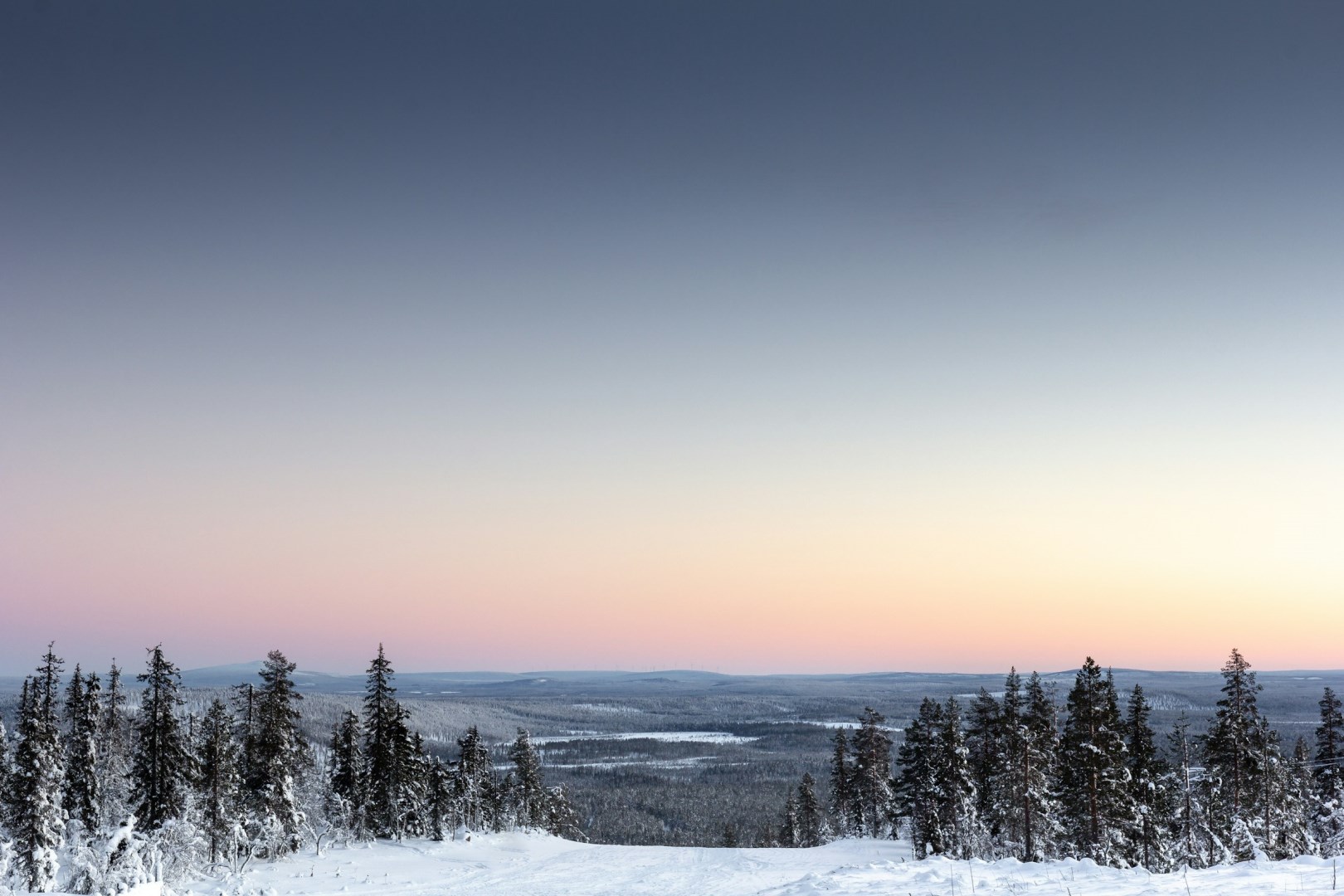  Photo Credit: Photo by Joakim Honkasalo on Unsplash