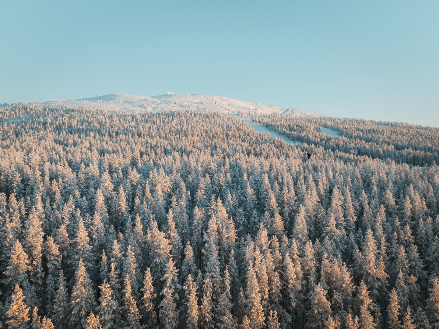  Photo Credit: Photo by Janosch Jost on Unsplash