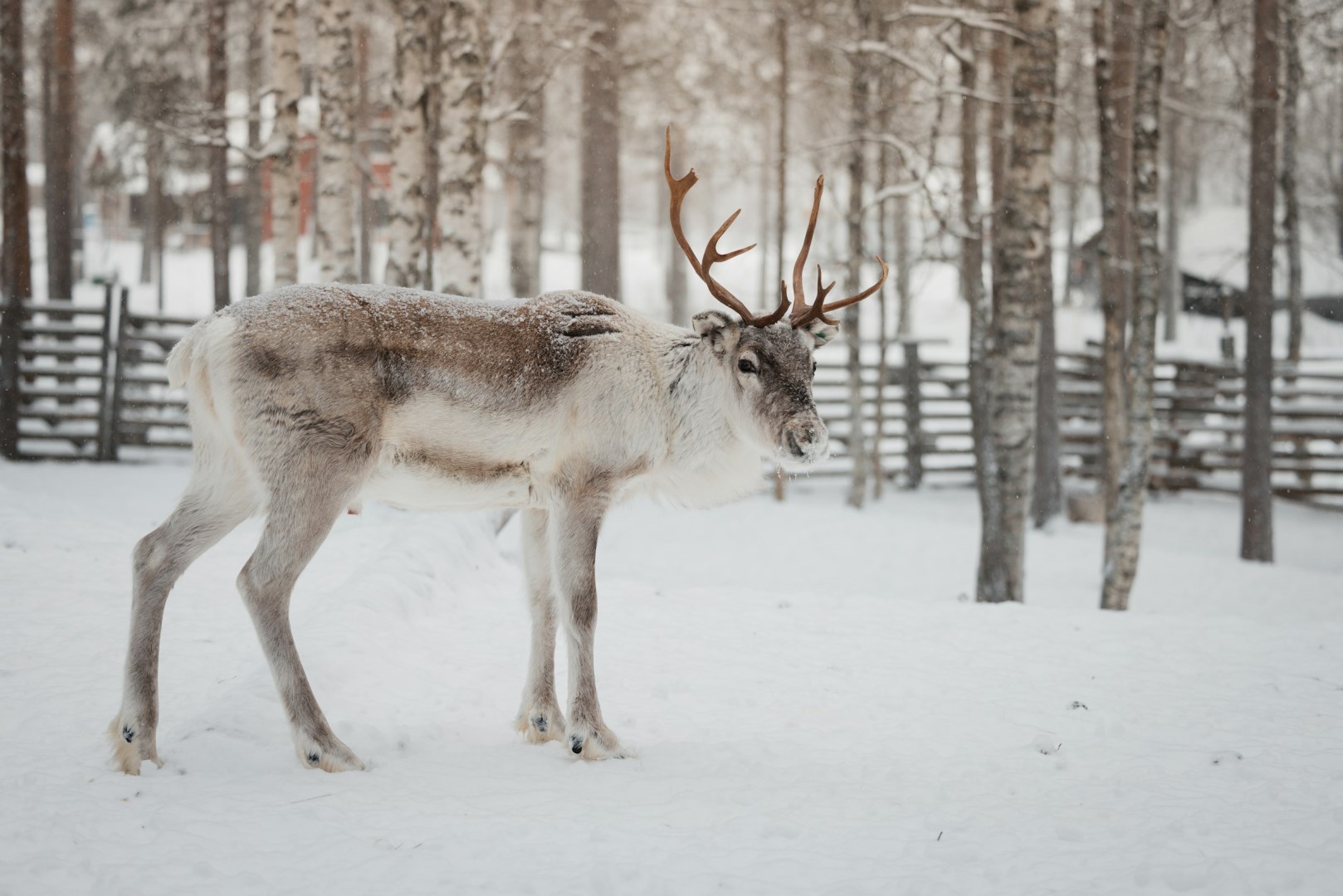  Photo Credit: Photo by Janosch Jost on Unsplash