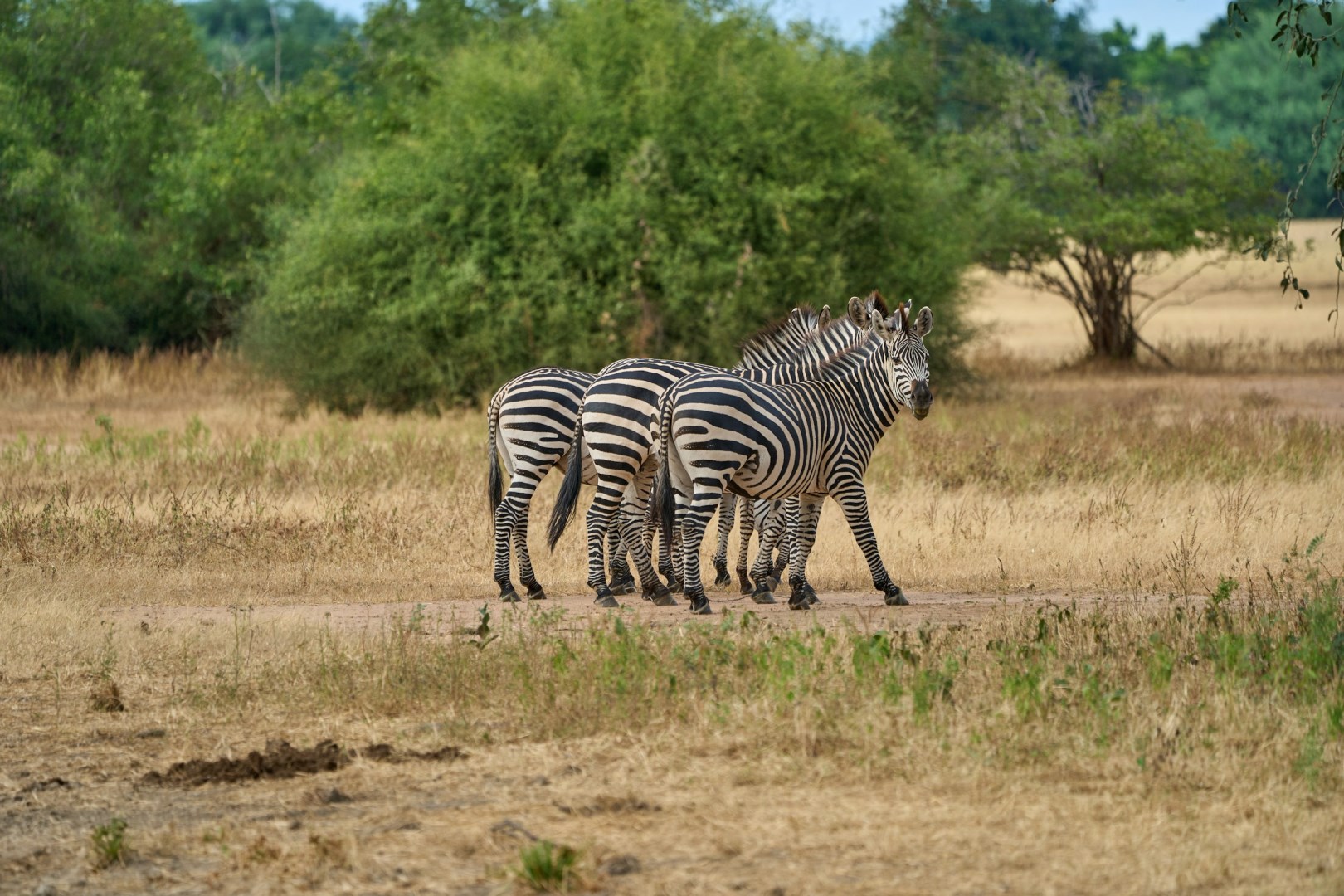  Photo Credit: Photo by Dmitrii Zhodzishskii on Unsplash