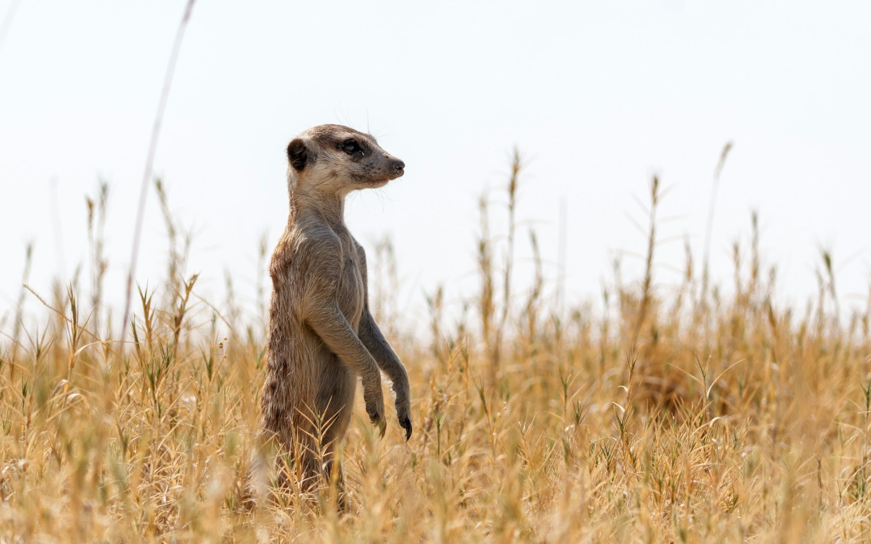  Photo Credit: Photo by Ed Wingate on Unsplash