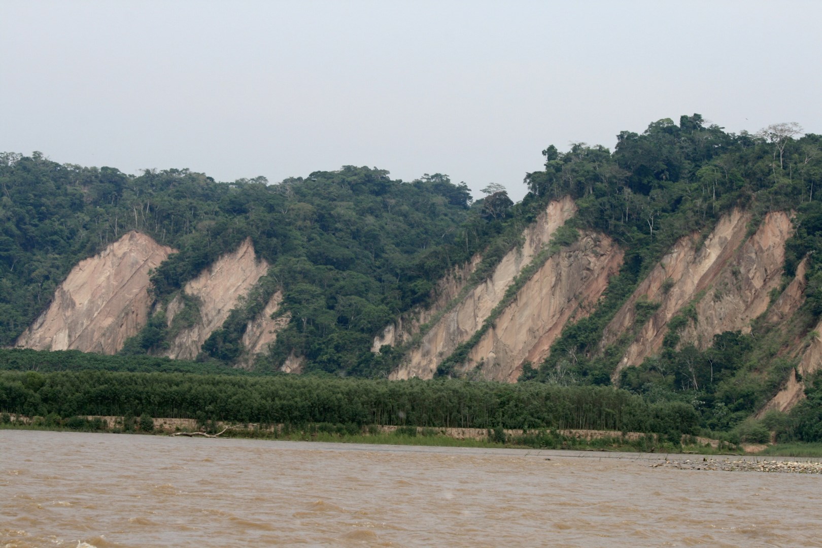 Madidi National Park
