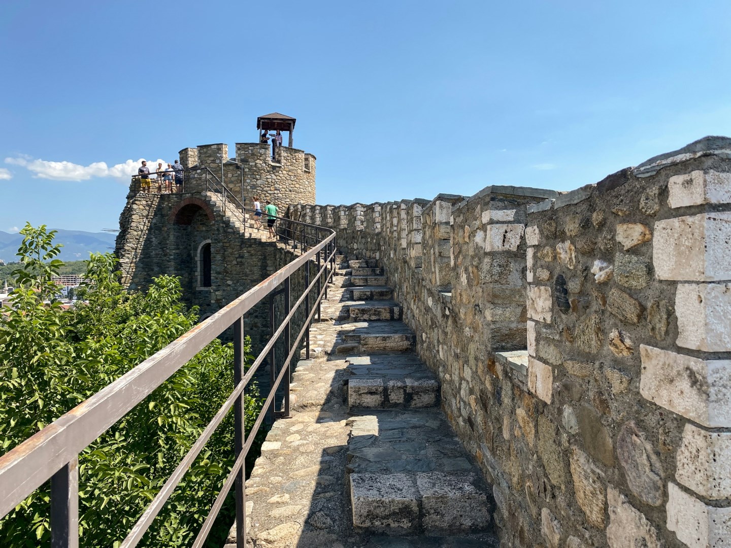  Photo Credit: Photo by Linda Gerbec on Unsplash