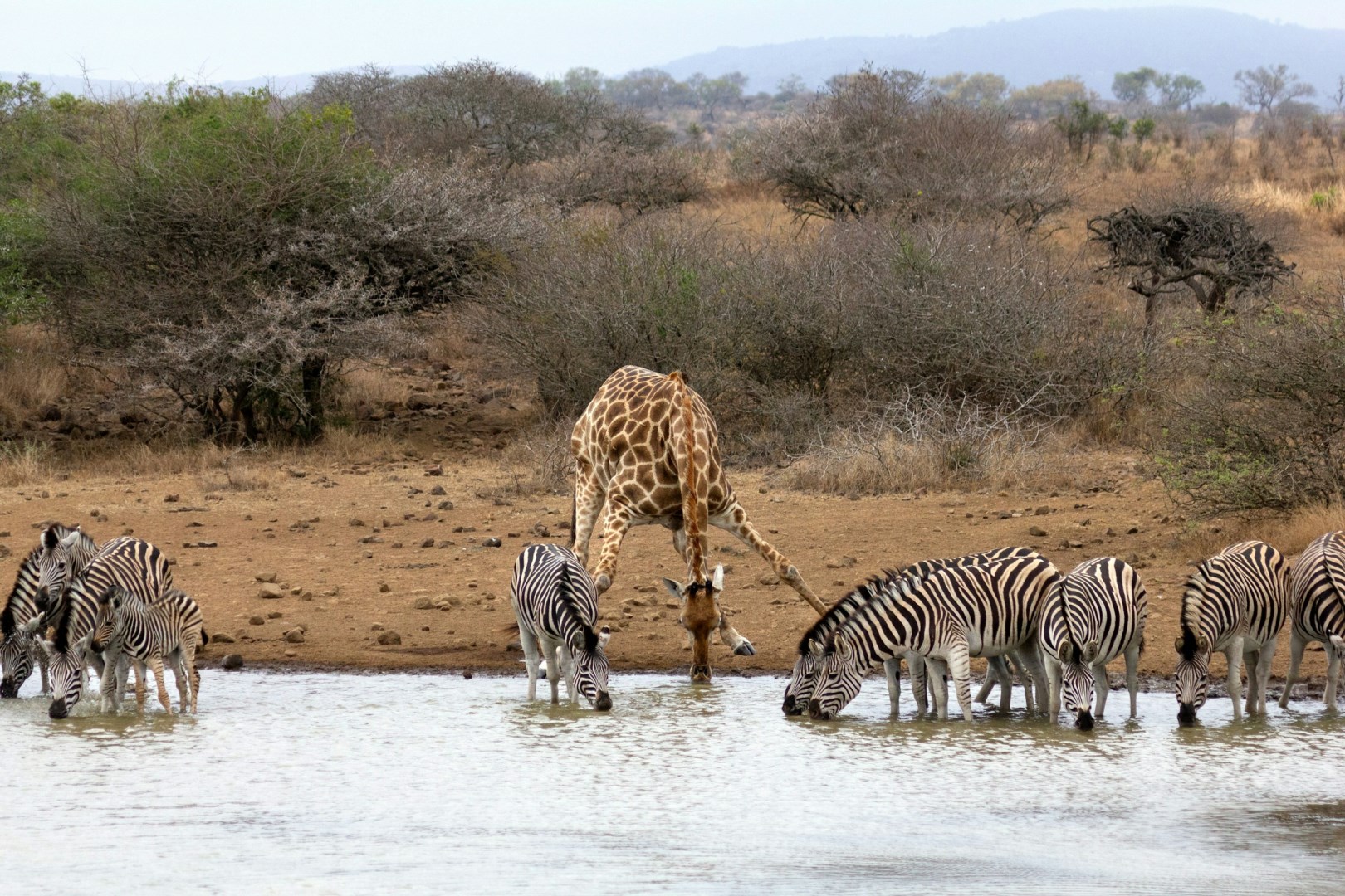 Photo Credit: Photo by Martie Bloem on Unsplash