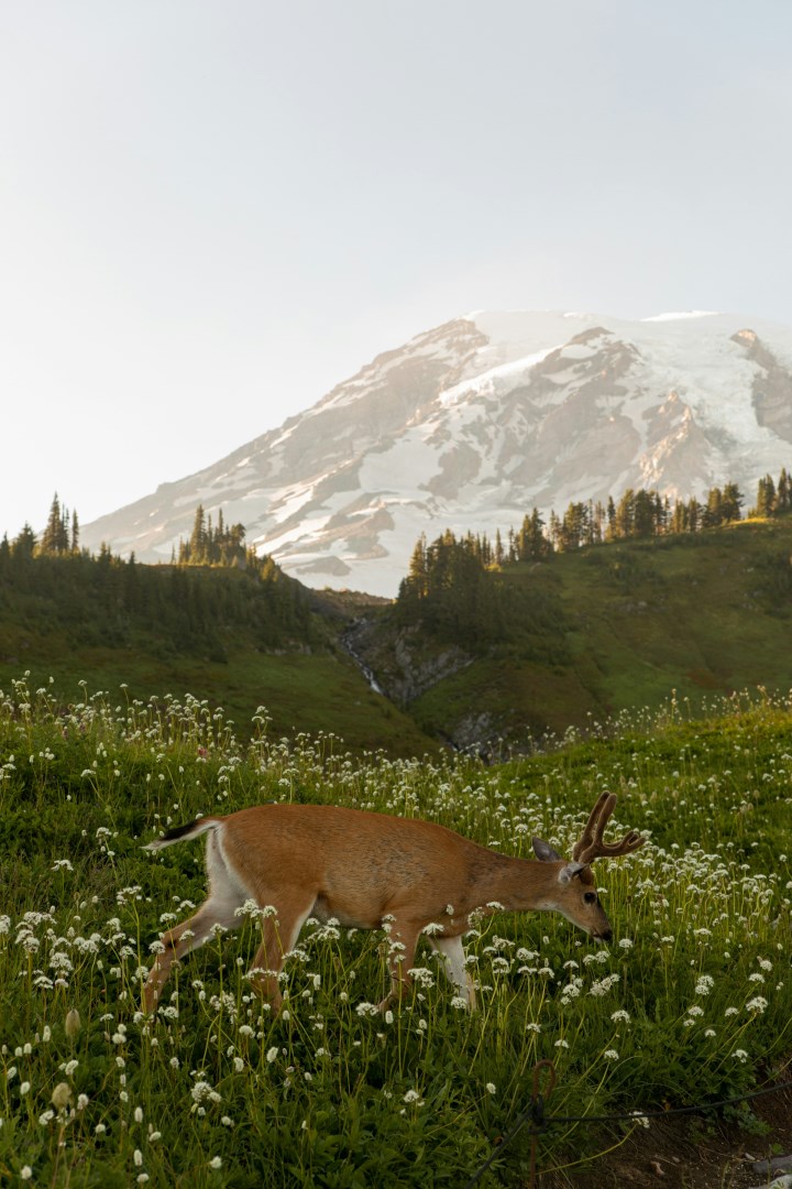  Photo Credit: Photo by Emma Swoboda on Unsplash