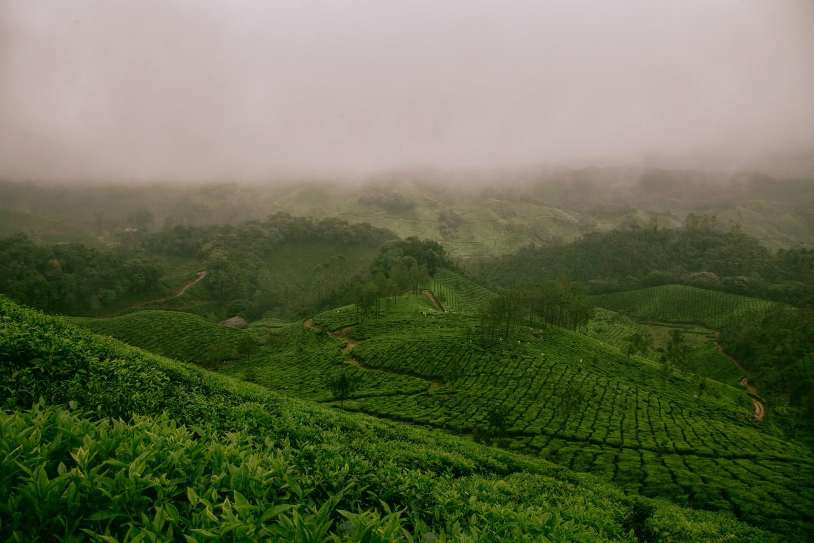 Munnar