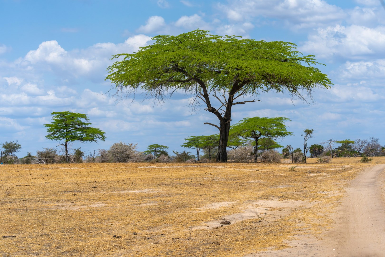 Photo Credit: Photo by Aron Marinelli on Unsplash
