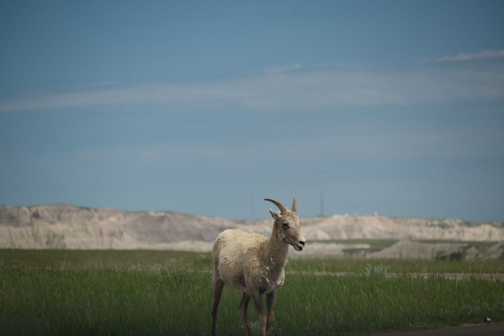  Photo Credit: Photo by Jake Mailloux on Unsplash