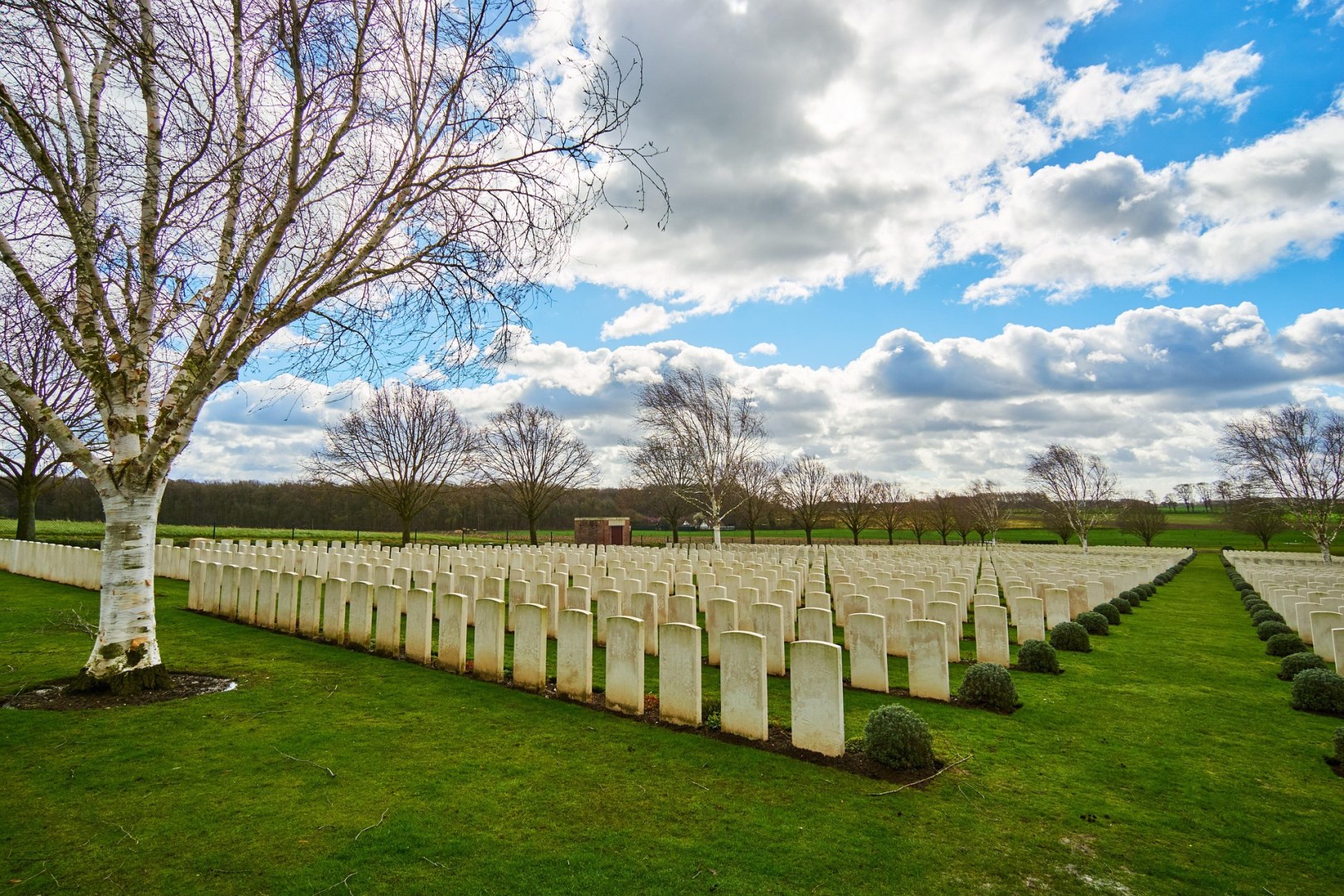 Ypres