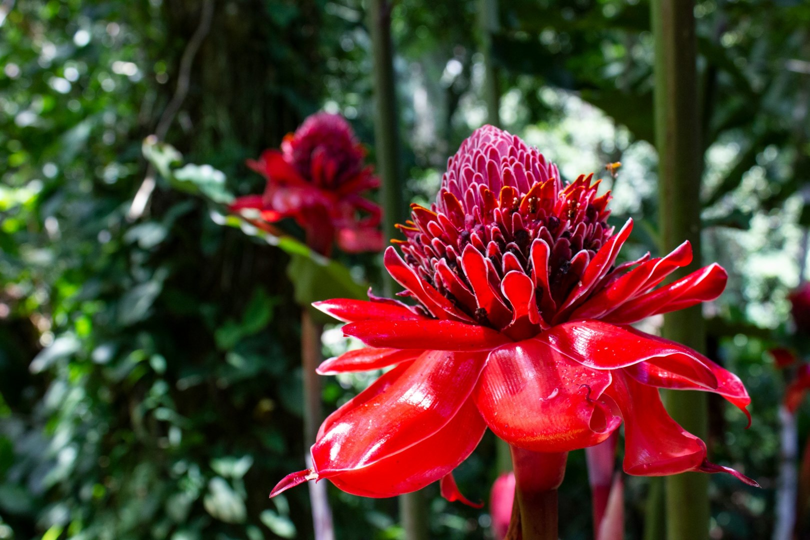  Photo Credit: Photo by Robin Canfield on Unsplash
