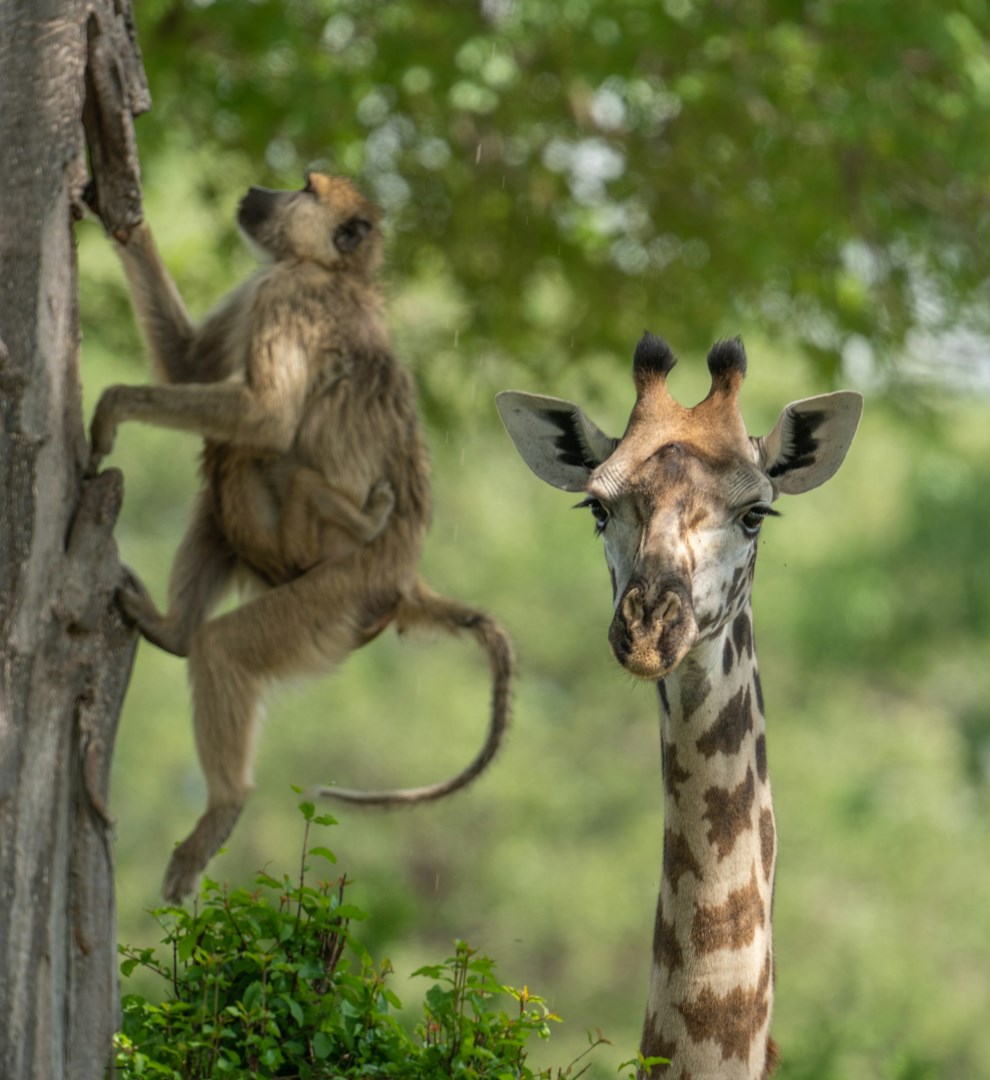 Photo Credit: Photo by Bob Brewer on Unsplash