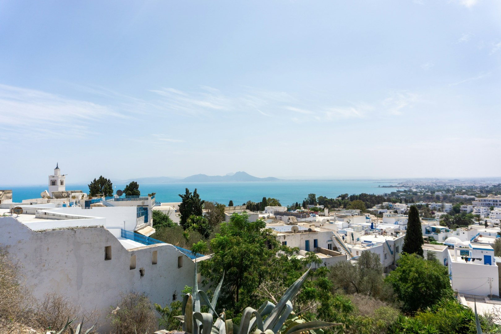  Photo Credit: Photo by Brahim Guedich on Unsplash