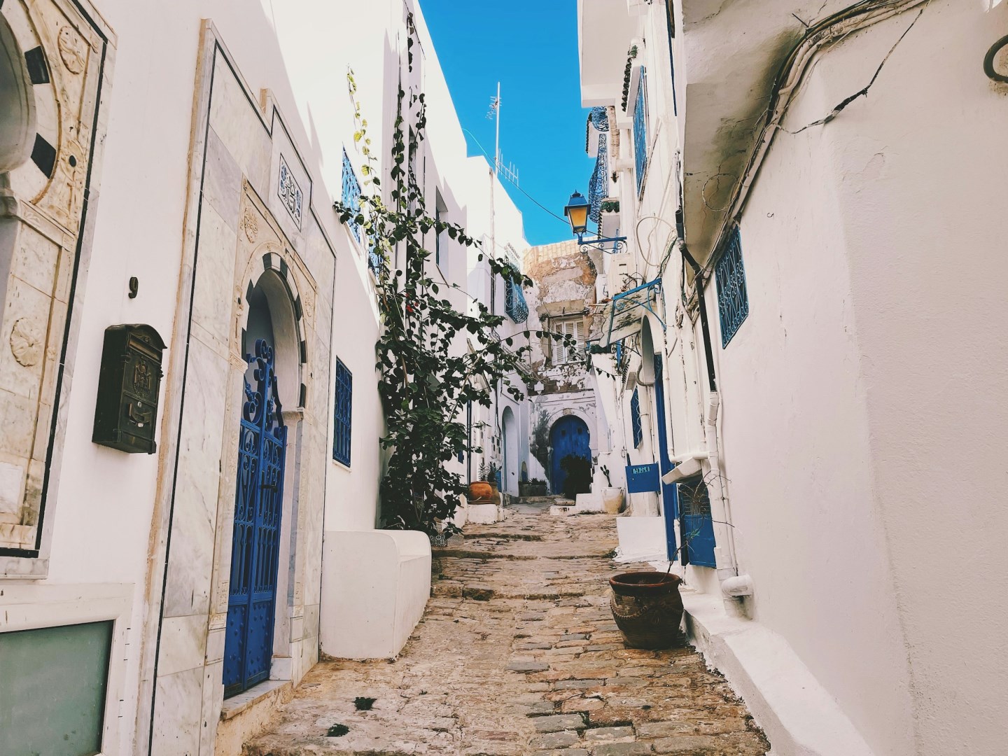  Photo Credit: Photo by Alex Vasey on Unsplash
