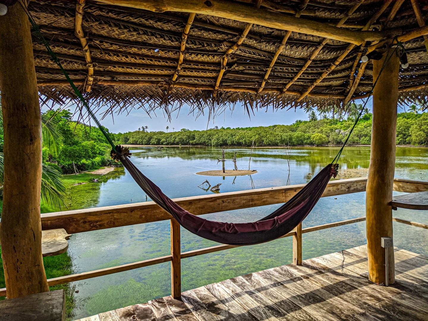  Photo Credit: Photo by Chamindu Perera on Unsplash