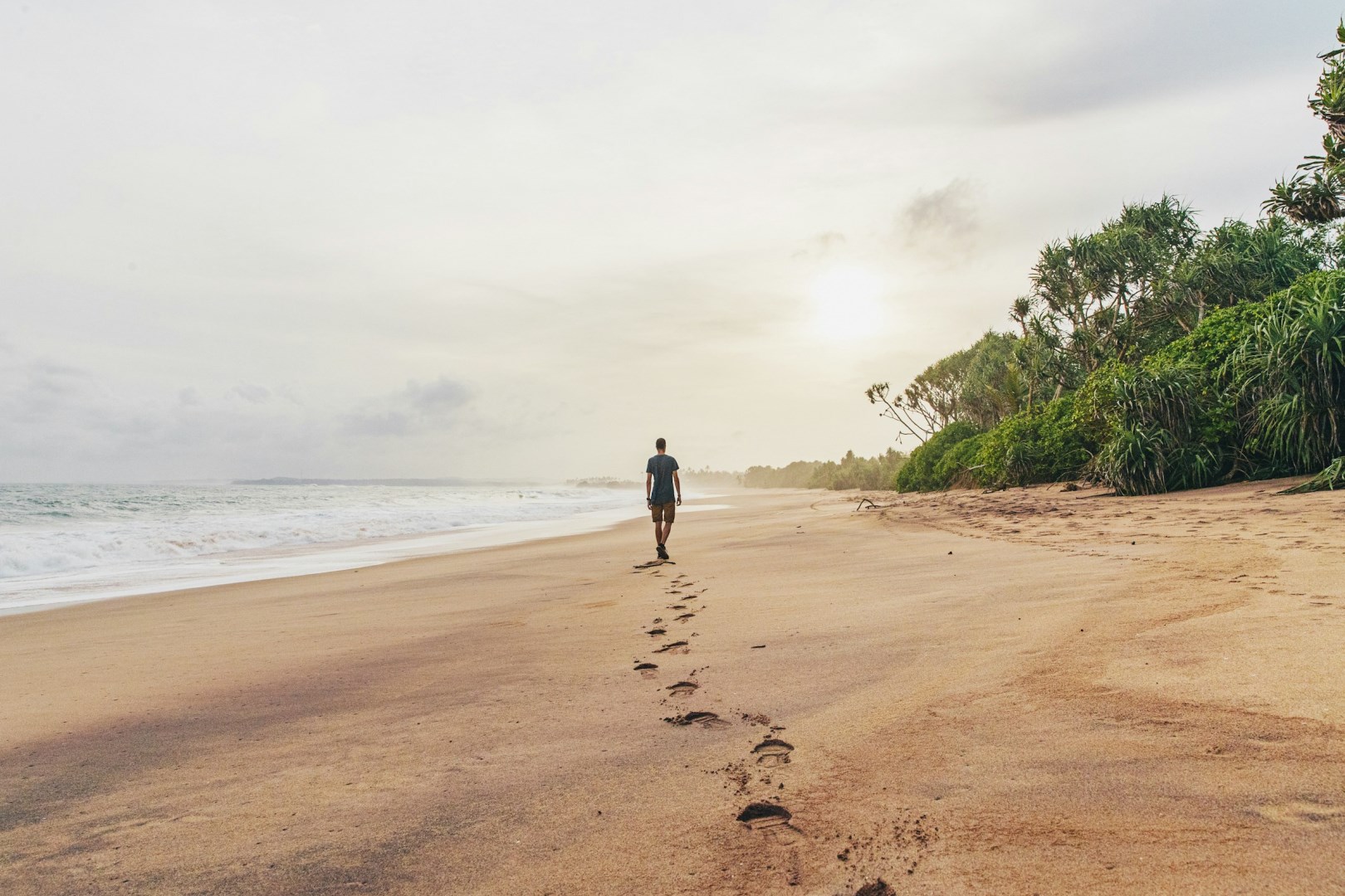  Photo Credit: Photo by Jannes Jacobs on Unsplash
