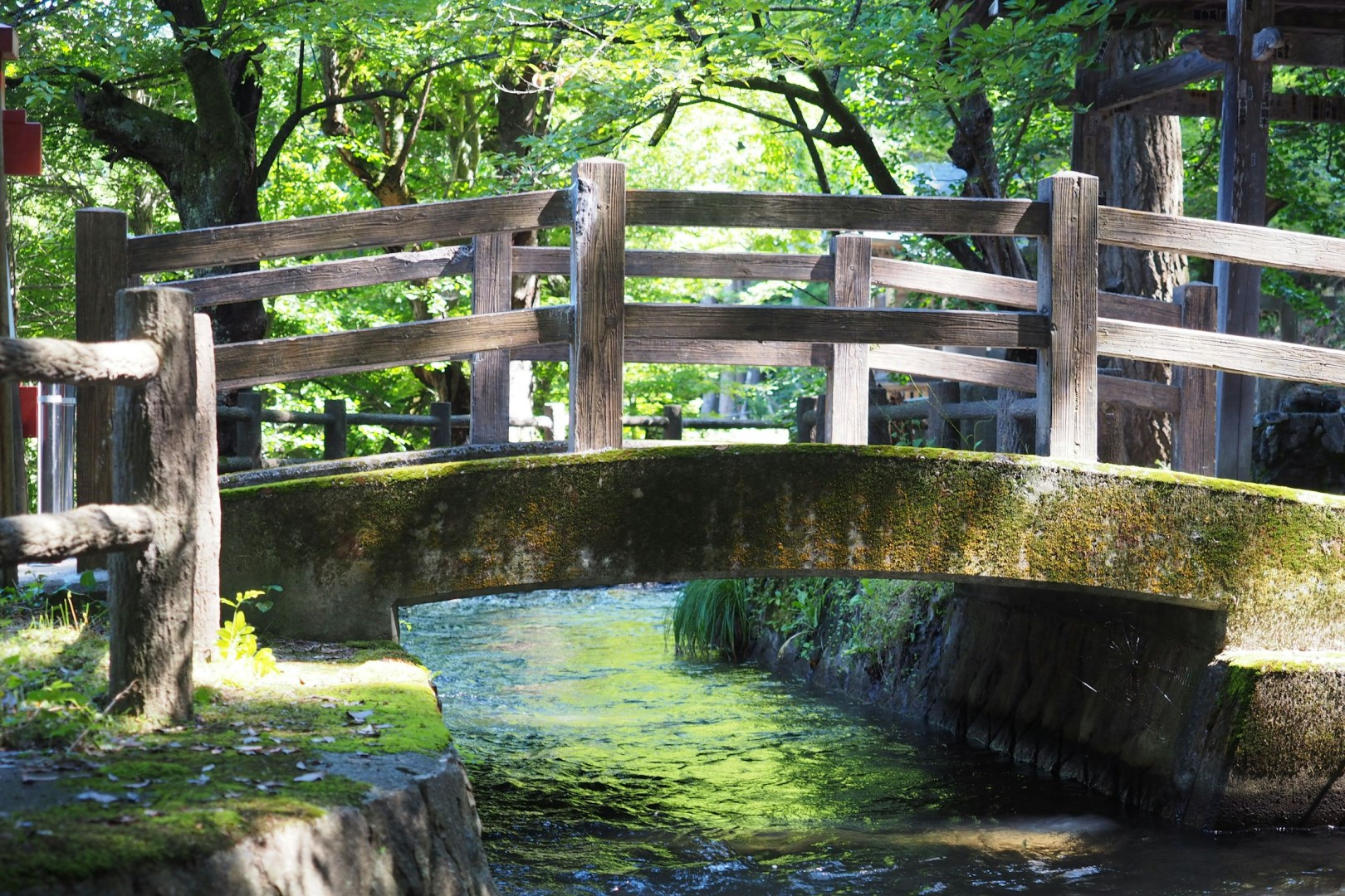  Photo Credit: Photo by Shino Nakamura on Unsplash