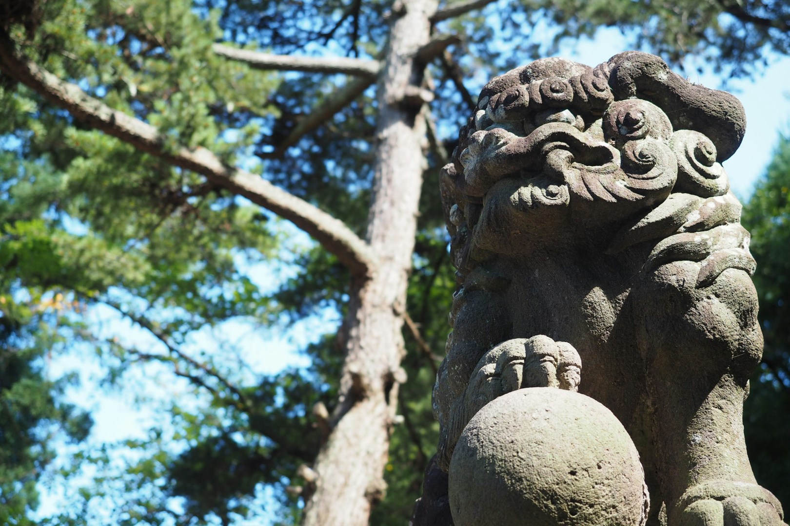  Photo Credit: Photo by Shino Nakamura on Unsplash