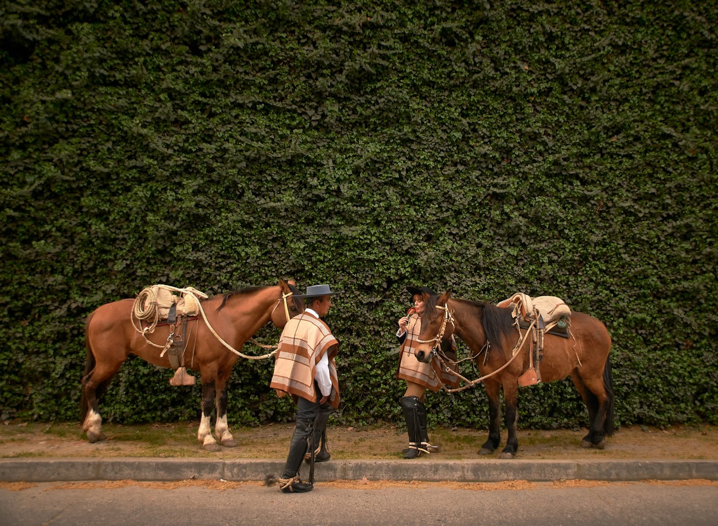  Photo Credit: Photo by Ignacio Amenábar on Unsplash