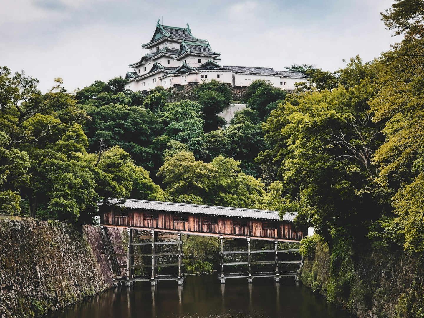 Wakayama, Japan - Photo Credit: Photo by Andrea De Santis on Unsplash