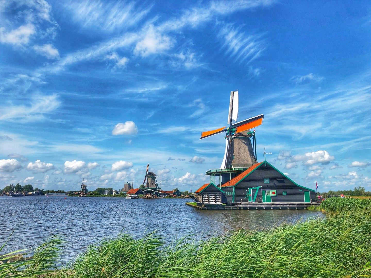  Photo Credit: Photo by Mankin on Unsplash